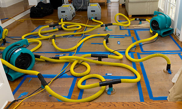 Professional Water Damage Repair technician working in Chatham, VA